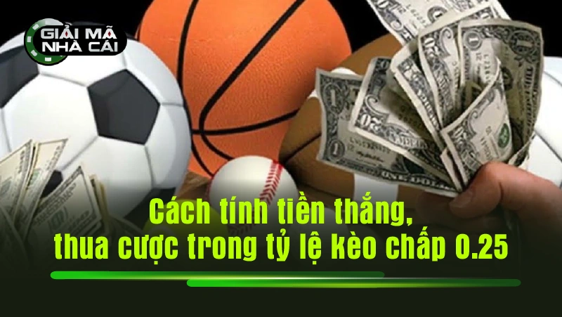 Cách tính tiền thắng, thua cược trong tỷ lệ kèo chấp 0.25