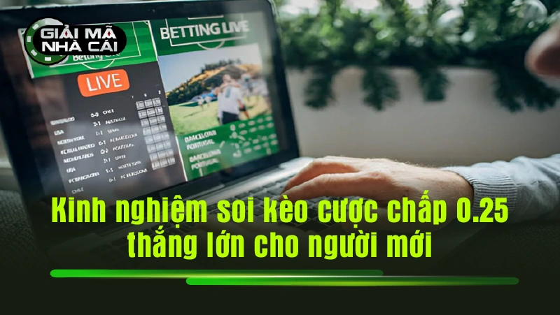 Kinh nghiệm soi kèo cược chấp 0.25 thắng lớn cho người mới