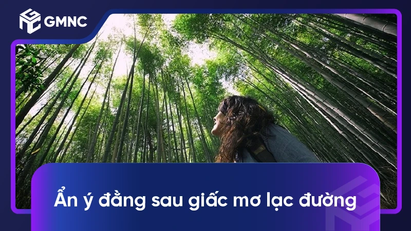 Ẩn ý đằng sau giấc mơ lạc đường